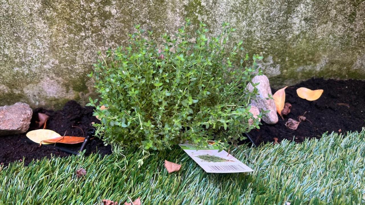 Garden Suite 볼차노 외부 사진