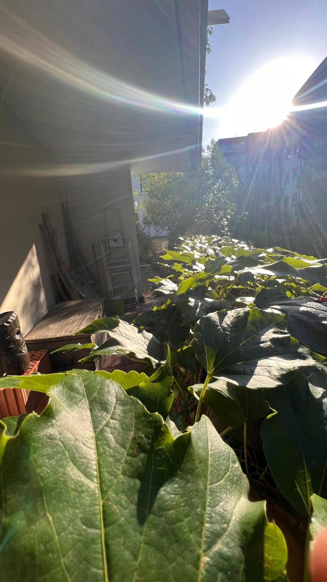 Garden Suite 볼차노 외부 사진