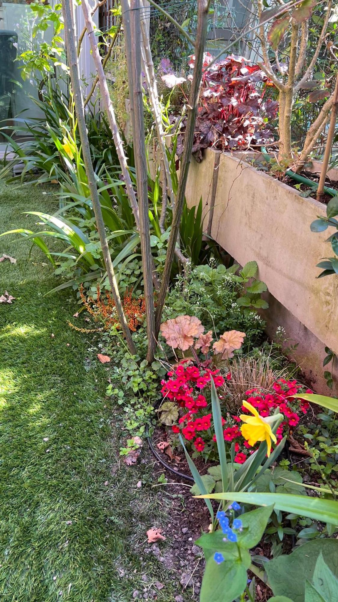 Garden Suite 볼차노 외부 사진